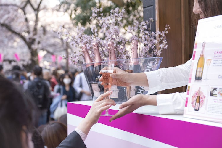 ロゼを片手にお花見はいかが？「お花見CHANDON」が限定開催