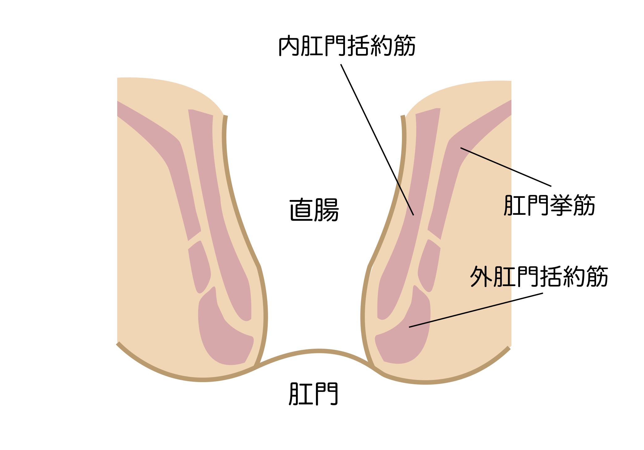 アナル オリーブ オイル